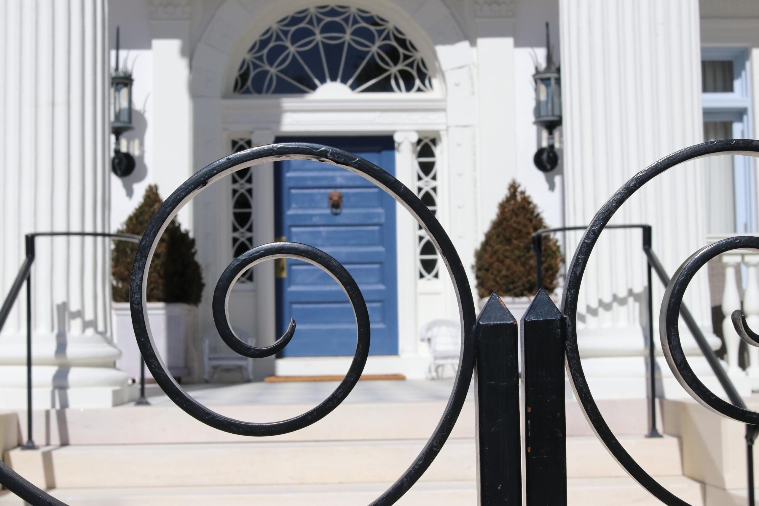 Historic Charleston SC ironwork gate